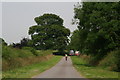 Road connecting Swallow Lane and Cherry Lane