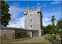 M2837 : Castles of Connacht: Annaghdown, Galway (2) by Mike Searle