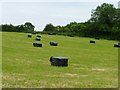 SU4545 : Wrapped hay bales, east of Nuns Walk by Christine Johnstone
