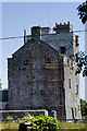 M4909 : Castles of Connacht: Rahaly, Galway (2) by Mike Searle