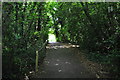 London : Sutton - Oaks Park Footpath