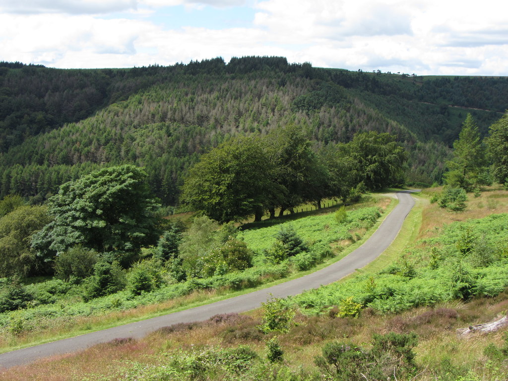 Cwmcarn Forest Drive © Gareth James Cc-by-sa/2.0 :: Geograph Britain ...