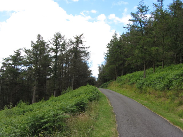 Cwmcarn Forest Drive © Gareth James :: Geograph Britain And Ireland