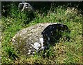 Engraved stone at Little Meg