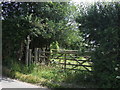 Footpath off Dilhorne Lane