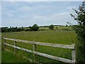 Meadow on the north side of Hunton Down Lane