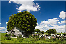 M5016 : Castles of Connacht: Ballylin, Galway (2) by Mike Searle
