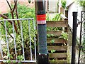 Woolly lamp post cover, Lyme Regis