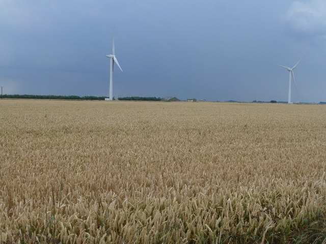 Two types of farming south of Whittlesey