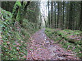 Llwybr Pantyrhyg Footpath