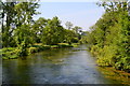 River Test at Middleton