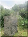 Footpath and entrance gate to Merryborough/Maryborough farm