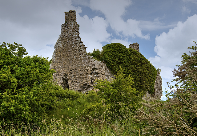 Castles of Connacht: Dundonnell, Roscommon (2)