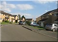 Houses in Bannerman Drive