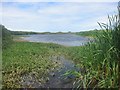 Reservoir near Broomhill farm