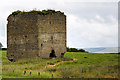 G1328 : Castles of Connacht: Rathroe, Mayo (1) by Mike Searle