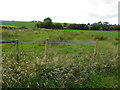 A rough field, Beragh