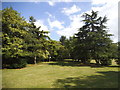 Trees on Barham Park