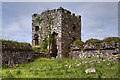 G6802 : Castles of Connacht: Moygara, Sligo (3) by Mike Searle