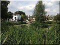 View across the pond by Kew Green