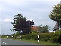 B1078 passing Tudor Cottage and footpath sign