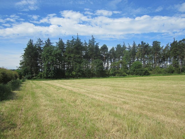 Grass field at East Ditchburn