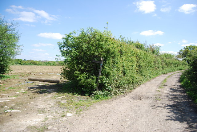 Sussex Border Path