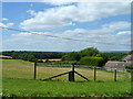 View towards Ropley Wood