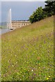 SK2669 : wildflowers at Chatsworth by Philip Halling
