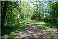 Sussex Border Path