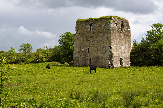 Castles of Leinster: Kinnafad, Kildare