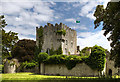 M9711 : Castles of Leinster: Cloghan, Offaly (1) by Mike Searle