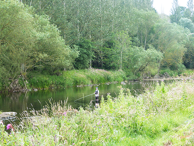 Fly fishing on the River Teviot