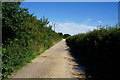 Halfacres Lane towards Ponds Farm