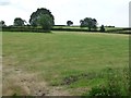 Farmland south-west of Folly Farm