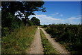 Halfacres Lane towards Ponds Farm