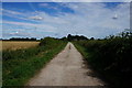 Everingham Lane towards Bielbly Field Farm