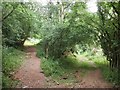 Path junction, Elsworthy Allotment