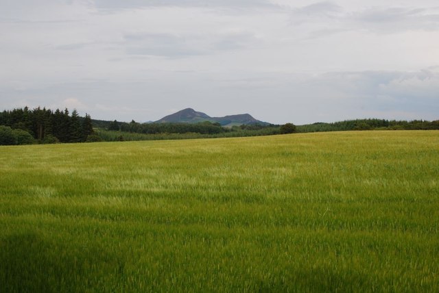 View of the Eildon Hills