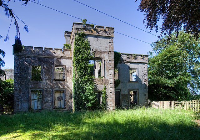 The ruins of Newcastle House, Co. Westmeath
