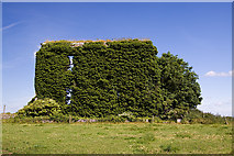 N5232 : The ruins of Toberdaly House, Toberdaly Demesne, Offaly by Mike Searle