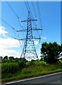 Pylon by Pain