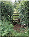 Partly hidden stile to a field near Manmoel