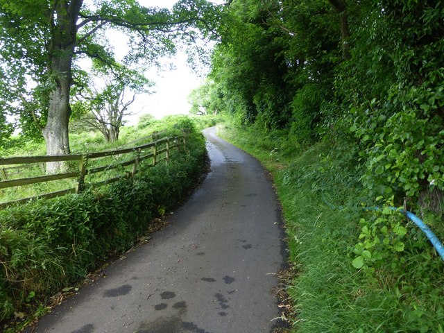 The road to Healey