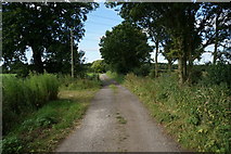 SE6850 : Kexby Stray (track) towards White Carr Farm by Ian S