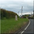 TL8544 : Milestone near Long Melford on B1064 by David Smith
