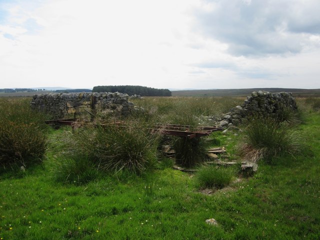 Ruined sheepfold north of Hagdon