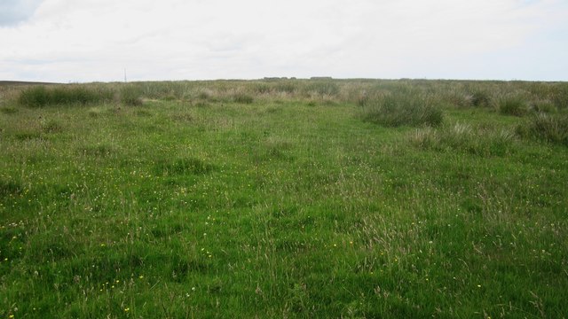 Moorland north of Hagdon