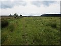 Public footpath east of Hagdon