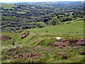 Caer Fach Bwlch Blaen Corn Fortlet